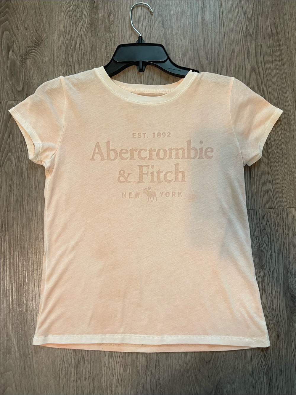 Y2K vintage Abercrombie and fitch baby tee
